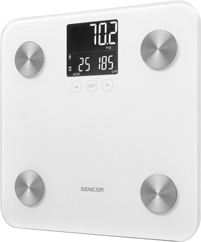 Personal fitness scale Sencor SBS6025WH image 2