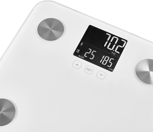 Personal fitness scale Sencor SBS6025WH image 4