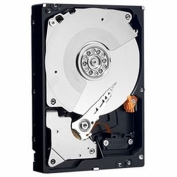 Cietais Disks Dell 400-BLCC 8 TB 3,5" 7200 rpm