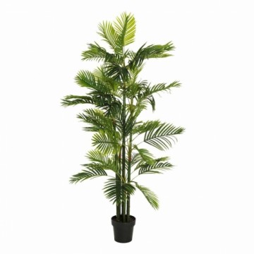 Bigbuy Home Dekoratīvs Augs Zaļš PVC 170 cm Palmas koks