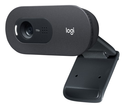 Logitech Webcam C505e image 1