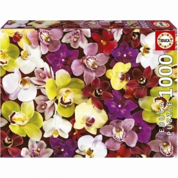 Puzle un domino komplekts Educa Orhideja 1000 Daudzums