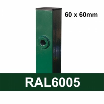 St 80*80*2500mm 1,73mV RAL6005