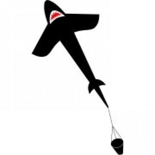 HQ Invento Ecoline Shark Kite 5 vienas auklas gaisa pūķis (102201) image 1