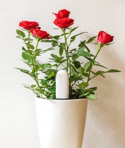 Xiaomi Mi Flower Care Plant Sensor image 4
