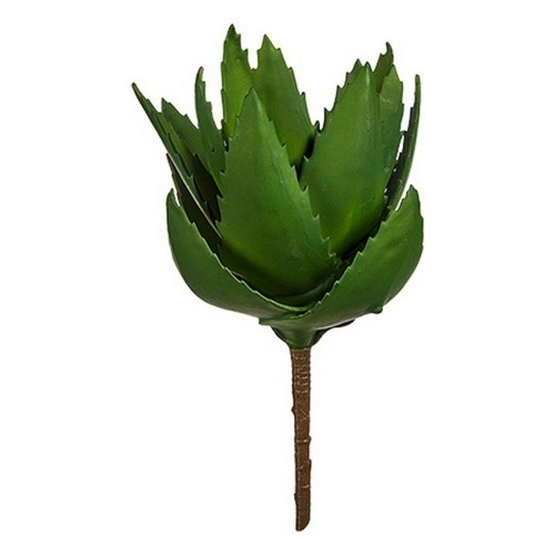 Ibergarden Dekoratīvs Augs Alveju 13 x 24,5 x 14 cm Zaļš Plastmasa (6 gb.) image 2