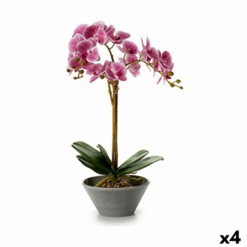 Ibergarden Dekoratīvs Augs Orhideja 16 x 48 x 28 cm Plastmasa (4 gb.)