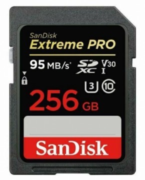 SANDISK BY WESTERN DIGITAL  
         
       MEMORY SDXC 256GB UHS-1/SDSDXXD-256G-GN4IN SANDISK