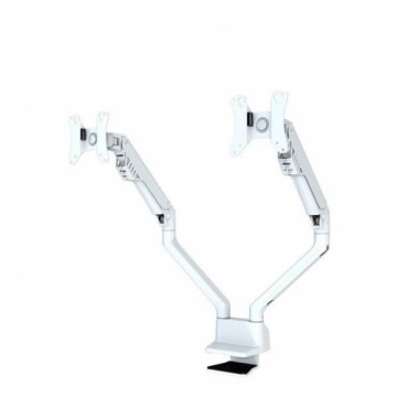 NEOMOUNTS  
         
       MONITOR ACC DESK MOUNT 10-32"/FPMA-D750DWHITE