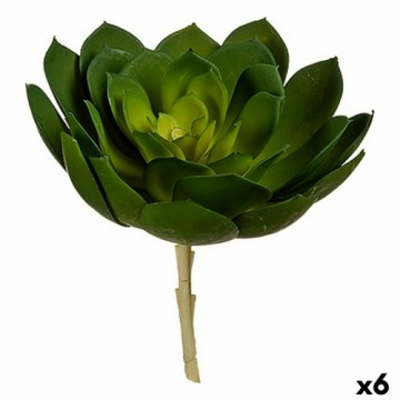 Ibergarden Dekoratīvs Augs 22 x 19 x 19 cm Zaļš Plastmasa (6 gb.)