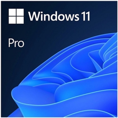 Microsoft Windows 11 Pro - Licence - DVD/OEM image 1