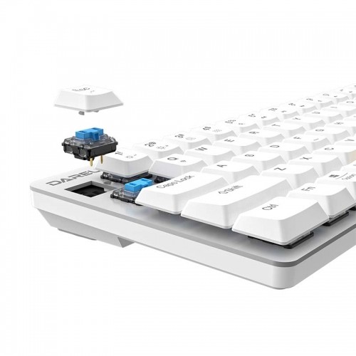 Wireless mechanical keyboard Dareu EK868 Bluetooth (white&blue) image 3