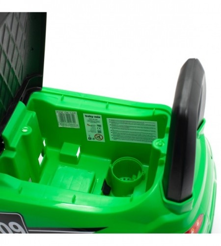 Baby Mix Stumjamā mašīna RACER green BabyMix 45833 image 5