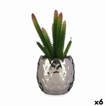 Ibergarden Dekoratīvs Augs Kaktuss Keramika Plastmasa 10 x 20 x 10 cm (6 gb.)