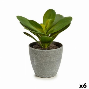 Ibergarden Декоративное растение Листья Круглая Пластик 11 x 15 x 11 cm (6 штук)