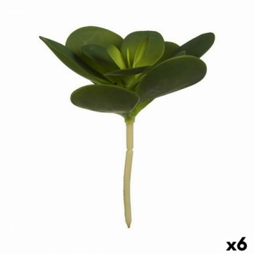 Ibergarden Декоративное растение Листья Круглая Пластик 18 x 23 x 18 cm (6 штук)