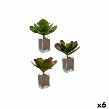 Ibergarden Декоративное растение Листья Большой Двухцветный Пластик 27 x 29 x 27 cm (6 штук)