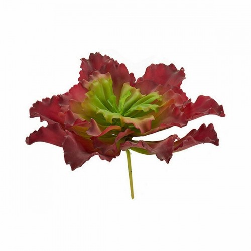 Ibergarden Декоративное растение Листья Большой Двухцветный Пластик 31 x 24 x 31 cm (6 штук) image 3