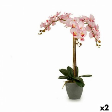 Ibergarden Dekoratīvs Augs Orhideja Plastmasa 29 x 78 x 35 cm (2 gb.)