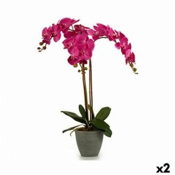 Ibergarden Dekoratīvs Augs Orhideja Plastmasa 60 x 78 x 44 cm (2 gb.)