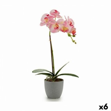 Ibergarden Dekoratīvs Augs Orhideja Plastmasa 13 x 39 x 22 cm (6 gb.)