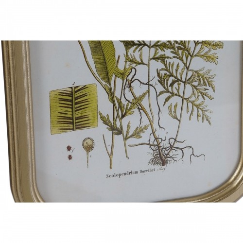 Glezna DKD Home Decor Moderns Botāniskie augi 30 x 2 x 45 cm (9 gb.) image 3