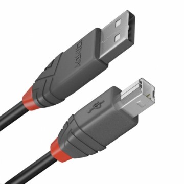 USB A uz USB B Kabelis LINDY 36677 10 m Melns Pelēks