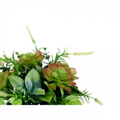 Ibergarden Dekoratīvs Augs Vīnaglāze Plastmasa 25 x 36 x 25 cm (4 gb.) image 2