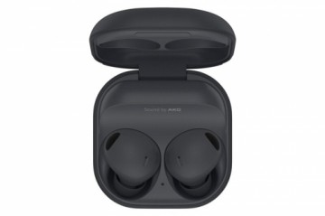 Samsung R510 Galaxy Buds 2 Pro Graphite noeu