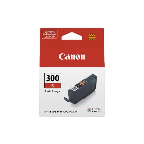 Картридж с оригинальными чернилами Canon 300R image 1