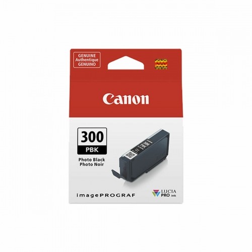 Oriģinālais Tintes Kārtridžs Canon 300PBK Melns image 1