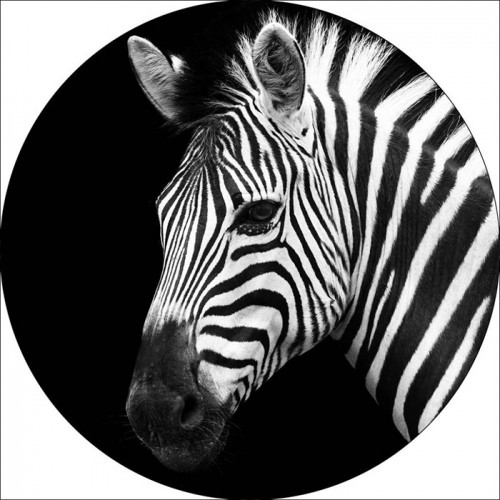 Foto glezna D60cm Zebra 93771 image 1