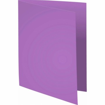 Подпапка Exacompta 420016E Фиолетовый A4 (100 штук)