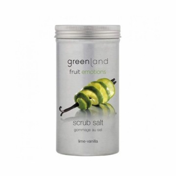 Отшелушивающее средство для тела Greenland лимонный Ваниль 400 g