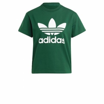 Vīriešu Krekls ar Īsām Piedurknēm Adidas TREFOIL TEE IB7424  Zaļš