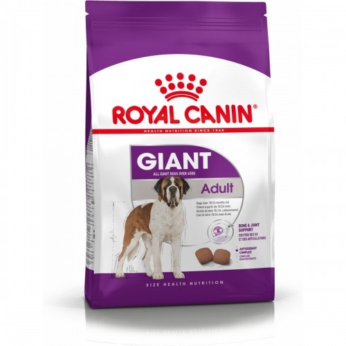 Lopbarība Royal Canin Giant Adult 15 kg image 2