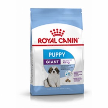 Фураж Royal Canin Puppy Giant 15 kg