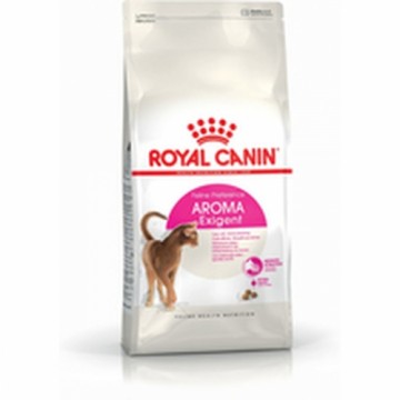 Kaķu barība Royal Canin Feline Preference Aroma Exigent