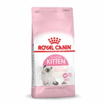 Kaķu barība Royal Canin Kitten