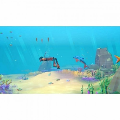 Videospēle PlayStation 4 Microids Dolphin Spirit: Mission Océan image 5