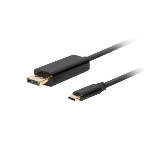 Адаптер USB C—DisplayPort Lanberg CA-CMDP-10CU-0010-BK Чёрный 1 m image 1