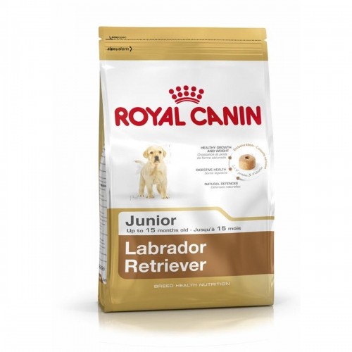 Lopbarība Royal Canin Labrador Retriever Junior 12 kg Bērns/Juniors image 1