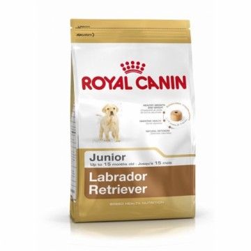Lopbarība Royal Canin Labrador Retriever Junior 12 kg Bērns/Juniors