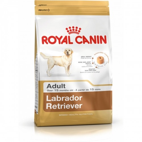 Lopbarība Royal Canin Labrador Retriever Adult 12 kg Odrasle Pieaugušais image 1