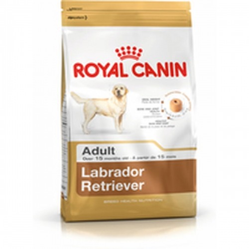 Lopbarība Royal Canin Labrador Retriever Adult 12 kg Odrasle Pieaugušais image 2