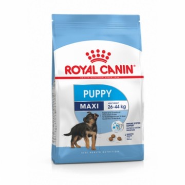 Lopbarība Royal Canin Maxi Puppy 15 kg Bērns/Juniors