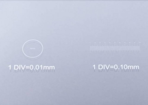 Blank Slide with 0.1 & 0.01mm micrometer BRESSER image 2