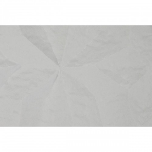Картина Home ESPRIT современный С облегчением 58,5 x 4 x 92,5 cm (2 штук) image 2