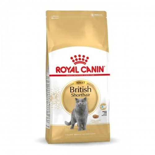 Kaķu barība Royal Canin British Shorthair Adult Pieaugušais 4 Kg image 1