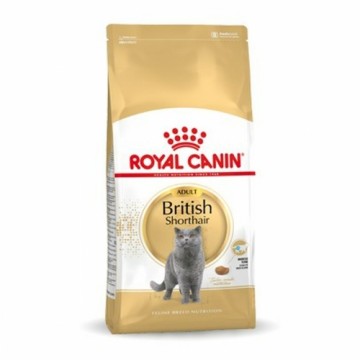 Kaķu barība Royal Canin British Shorthair Adult Pieaugušais 4 Kg